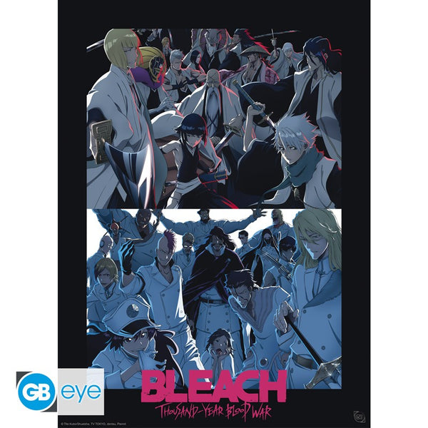 Bleach - Shinigami VS Quincy - Plakat