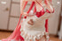 files/x_anm81021_r.jpg