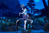 files/x_apex14659_h.jpg