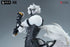 files/x_apex16187_m.jpg