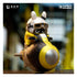 files/x_apex16224_k.jpg