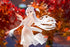 files/x_apex42138_e.jpg