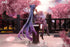 files/x_apex42221_h.jpg