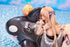 files/x_apex42222_f.jpg