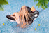 files/x_apex42222_h.jpg