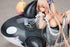 files/x_apex42222_o.jpg