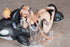 files/x_apex42222_p.jpg