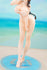 files/x_apex42240_c.jpg