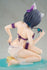 files/x_apex42250_f.jpg