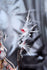 files/x_apex42251_i.jpg