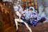 files/x_apex42253_e.jpg