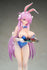 files/x_apex42271_i.jpg