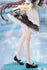 files/x_apex42320_i.jpg