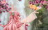 files/x_apex59521_d.jpg