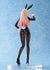 files/x_apx60225_d.jpg