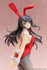 files/x_apx96893_e.jpg