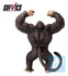 files/x_ban-is72377_b.jpg