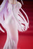 files/x_coco12092_m.jpg