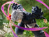 files/x_fnex40982_h.jpg