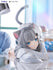 files/x_fryu40766_l.jpg