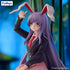 files/x_fryu50353_b.jpg
