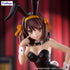 files/x_fryu50763_a.jpg