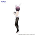 files/x_fryu50858_b.jpg