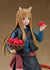files/x_gsc20598_d.jpg