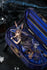 files/x_gsc20641_b.jpg