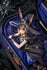 files/x_gsc20641_c.jpg