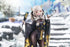 files/x_gsc20642_c.jpg