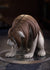 files/x_gsc20960_d.jpg