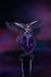 files/x_gsc20999_c.jpg