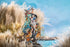 files/x_gsc59199_h.jpg