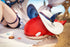 files/x_gsc66378_d.jpg