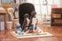 files/x_hbsa16097_e.jpg