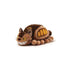 Studio Ghibli - Catbus - Bamse (20 cm)