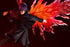 files/x_ktopv360_g.jpg