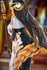 files/x_lbx20710_j.jpg