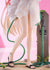 files/x_mafc04420_l.jpg