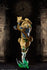 files/x_mdcs52069_c.jpg