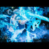 files/x_meho716607_r.jpg