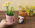 files/x_meho838743_e.jpg