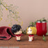 files/x_meho840647_k.jpg