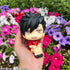 files/x_meho840654_j.jpg