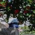 files/x_meho843839_e.jpg