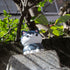 files/x_meho843853_b.jpg