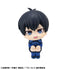 files/x_meho844133_b.jpg