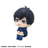 files/x_meho844133_c.jpg