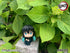 files/x_meho845659_h.jpg